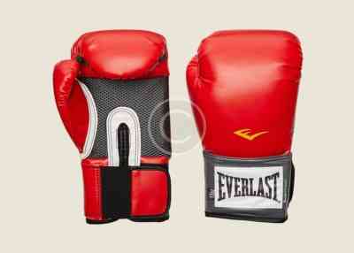 Excellence Pro-Style Boxing Gloves